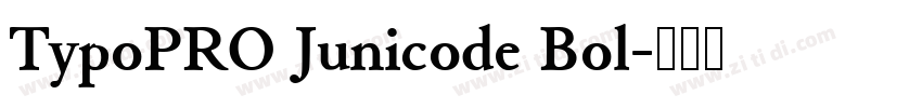 TypoPRO Junicode Bol字体转换